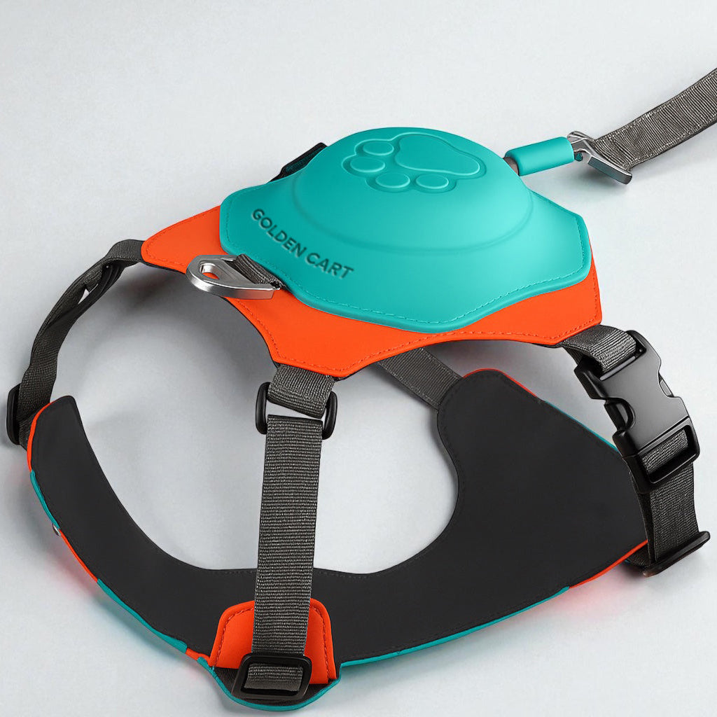 2-in-1 Dog Harness with Built-in Leash